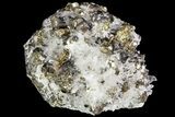 Pyrite, Chalcopyrite, Sphalerite and Quartz Association - Peru #71376-1